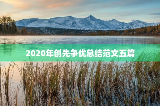 2020年创先争优总结范文五篇