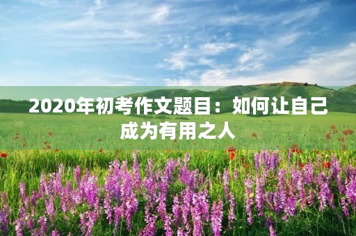 2020年初考作文题目:如何让自己成为有用之人 2020年初考作文题目:如何让自己成为有用之人