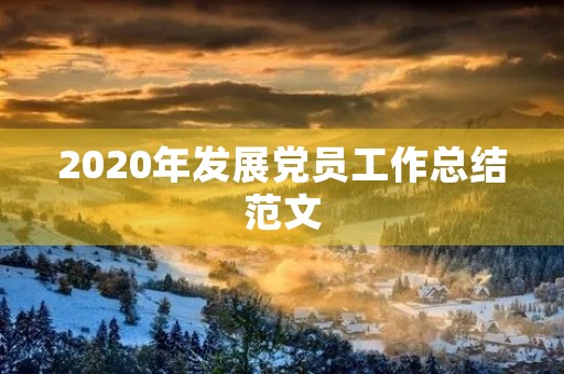 2020年发展党员工作总结范文