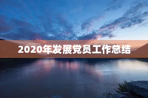 2020年发展党员工作总结