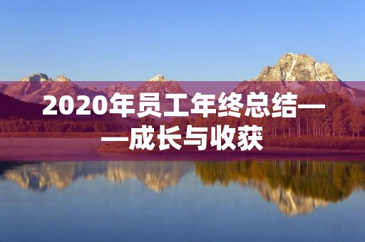 2020年员工年终总结——成长与收获 2020年员工年终总结——成长与收获