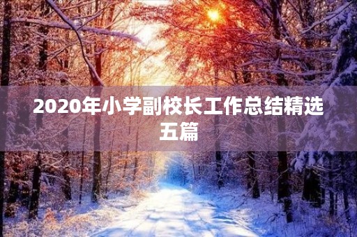 2020年小学副校长工作总结精选五篇