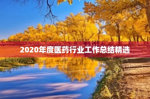 2020年度医药行业工作总结精选
