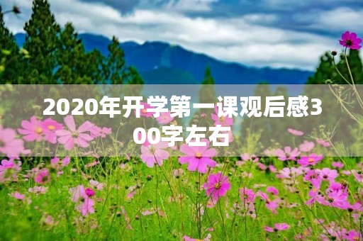 2020年开学第一课观后感300字左右 2020年开学第一课观后感300字左右
