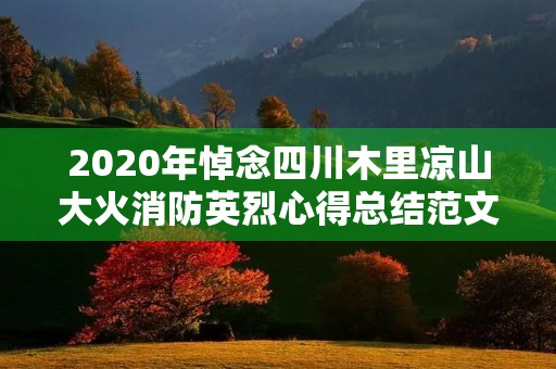 2020年悼念四川木里凉山大火消防英烈心得总结范文5篇 2020年悼念四川木里凉山大火消防英烈心得总结范文5篇