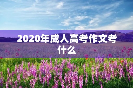 2020年成人高考作文考什么 2020年成人高考作文考什么