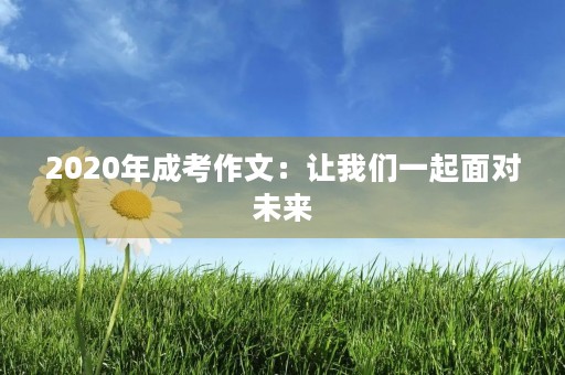 2020年成考作文：让我们一起面对未来