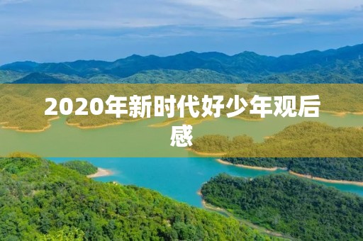 2020年新时代好少年观后感