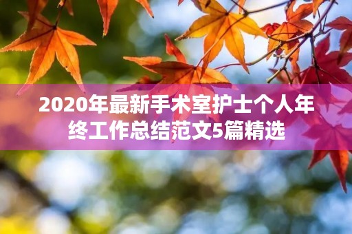 2020年最新手术室护士个人年终工作总结范文5篇精选