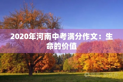 2020年河南中考满分作文:生命的价值 2020年河南中考满分作文:生命的价值