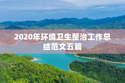 2020年环境卫生整治工作总结范文五篇