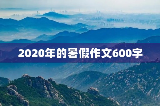 2020年的暑假作文600字