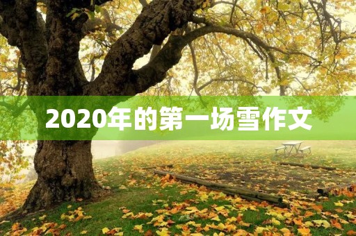 2020年的第一场雪作文 2020年的第一场雪作文