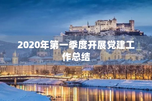 2020年第一季度开展党建工作总结