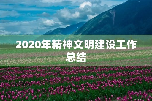 2020年精神文明建设工作总结