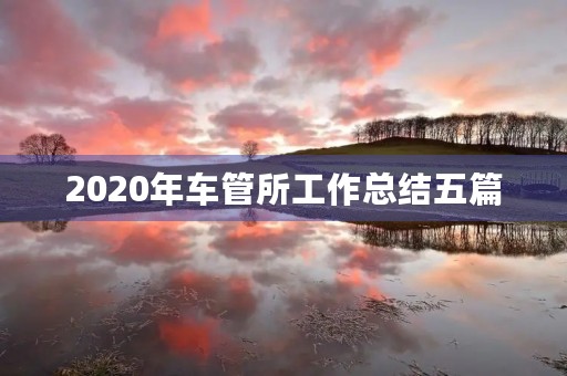 2020年车管所工作总结五篇