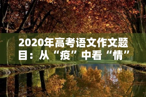 2020年高考语文作文题目：从“疫”中看“情”