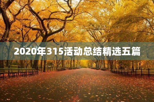 2020年315活动总结精选五篇