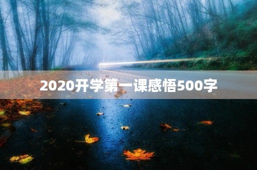 2020开学第一课感悟500字 2020开学第一课感悟500字