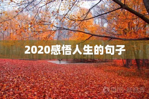 2020感悟人生的句子,2020感悟人生的句子有哪些 2020感悟人生的句子,2020感悟人生的句子有哪些