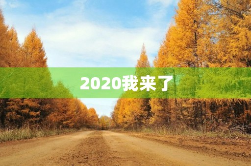 2020我来了 2020我来了