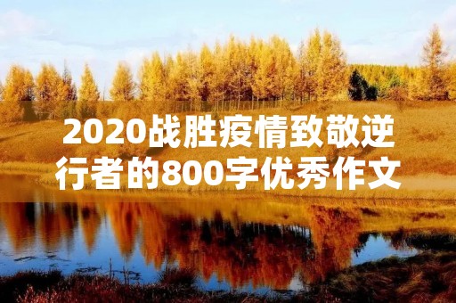 2020战胜疫情致敬逆行者的800字优秀作文5篇 2020战胜疫情致敬逆行者的800字优秀作文5篇