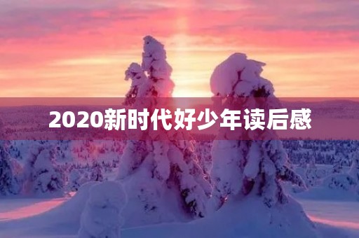 2020新时代好少年读后感