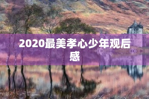 2020最美孝心少年观后感