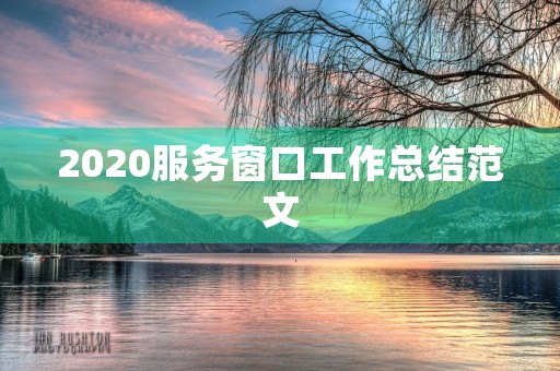 2020服务窗口工作总结范文