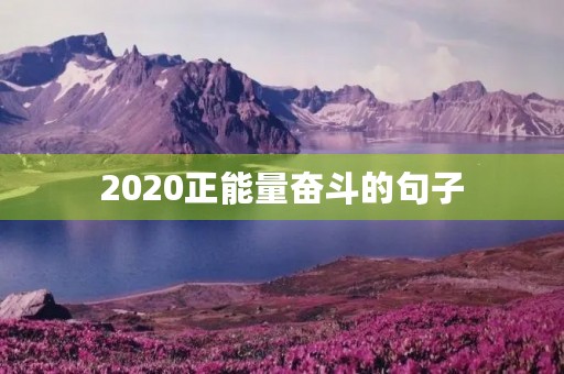 2020正能量奋斗的句子(正能量奋斗的说说)
