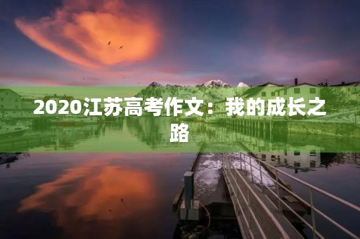 2020江苏高考作文：我的成长之路
