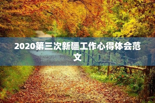 2020第三次新疆工作心得体会范文