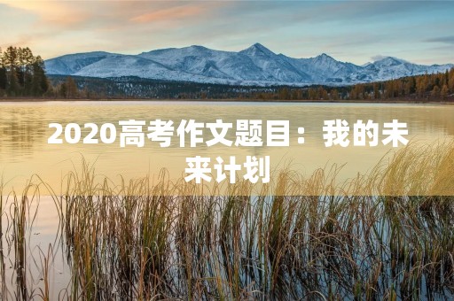2020高考作文题目:我的未来计划 2020高考作文题目:我的未来计划