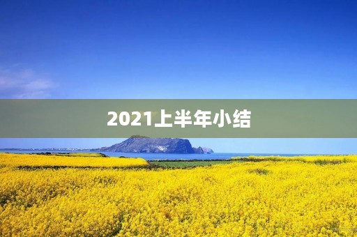 2021上半年小结 2021上半年小结