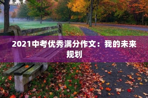 2021中考优秀满分作文:我的未来规划 2021中考优秀满分作文:我的未来规划