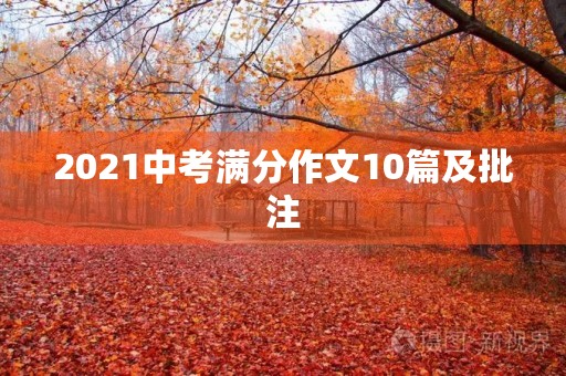 2021中考满分作文10篇及批注