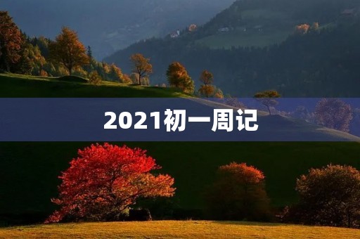 2021初一周记