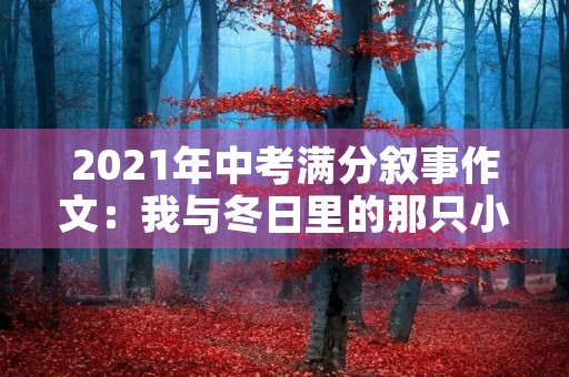2021年中考满分叙事作文:我与冬日里的那只小鸟 2021年中考满分叙事作文:我与冬日里的那只小鸟