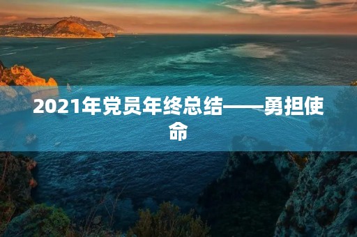2021年党员年终总结——勇担使命，奋进新征程