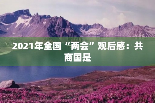 2021年全国“两会”观后感：共商国是，展现中国力量