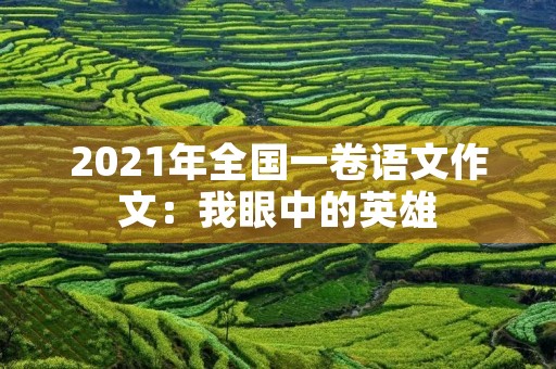 2021年全国一卷语文作文:我眼中的英雄 2021年全国一卷语文作文:我眼中的英雄