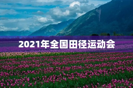 2021年全国田径运动会 2021年全国田径运动会