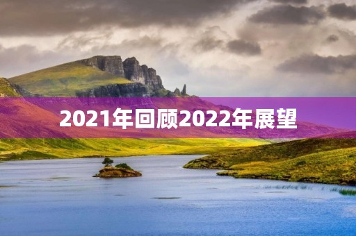 2021年回顾2022年展望