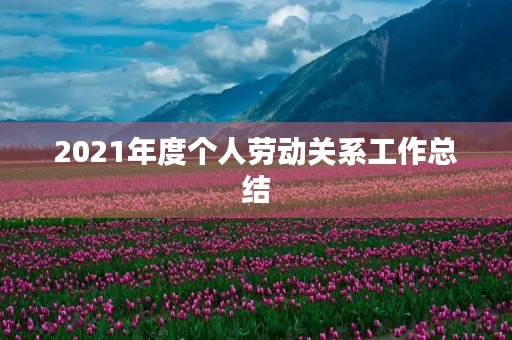 2021年度个人劳动关系工作总结 2021年度个人劳动关系工作总结