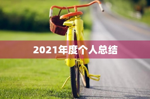 2021年度个人总结