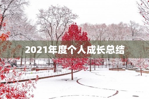 2021年度个人成长总结