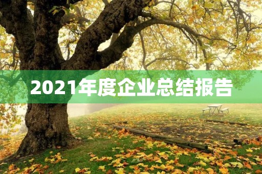 2021年度企业总结报告