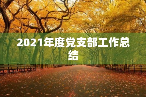 2021年度党支部工作总结 2021年度党支部工作总结