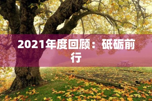 2021年度回顾:砥砺前行,不负韶华 2021年度回顾:砥砺前行,不负韶华