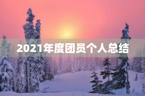 2021年度团员个人总结